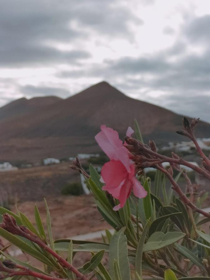 Conil La Morreta Suites I - Lanzarote מראה חיצוני תמונה