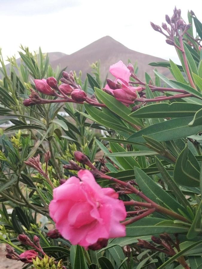 Conil La Morreta Suites I - Lanzarote מראה חיצוני תמונה
